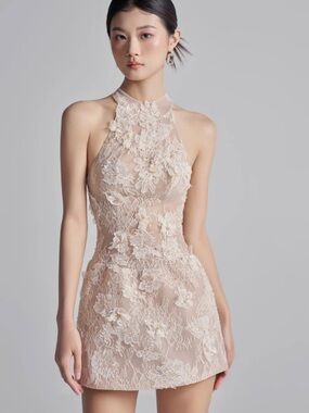 Sleeveless Floral Lace Halter Mini Dress in Blush